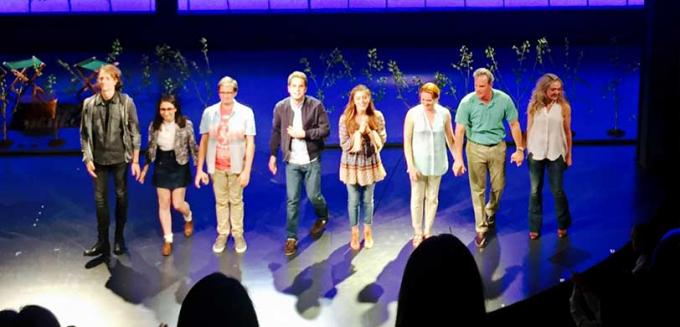 Dear Evan Hansen at Music Box Theatre